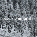 Viziteaza Neamt