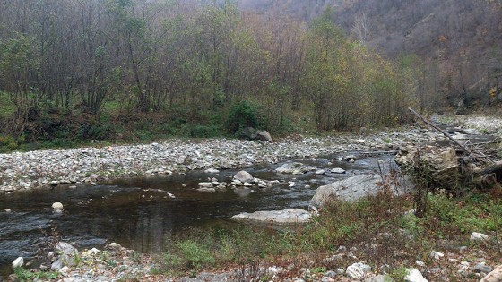 iubesc_romania_topolnita